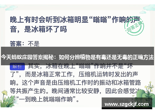 今天蚂蚁庄园答案揭秘：如何分辨植物是有毒还是无毒的正确方法